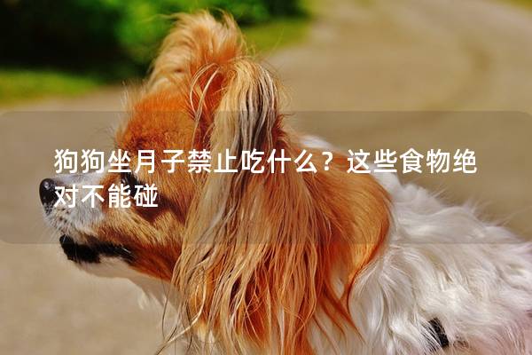 狗狗坐月子禁止吃什么？这些食物绝对不能碰