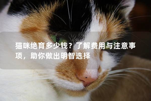 猫咪绝育多少钱？了解费用与注意事项，助你做出明智选择