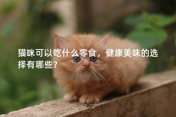 猫咪可以吃什么零食，健康美味的选择有哪些？