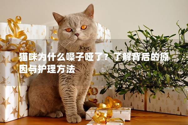 猫咪为什么嗓子哑了？了解背后的原因与护理方法