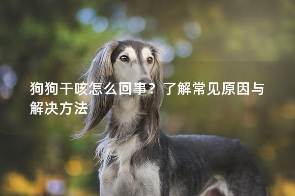 狗狗干咳怎么回事？了解常见原因与解决方法