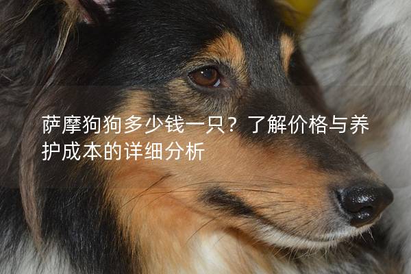 萨摩狗狗多少钱一只？了解价格与养护成本的详细分析