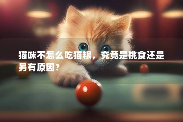 猫咪不怎么吃猫粮，究竟是挑食还是另有原因？