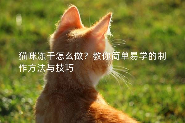 猫咪冻干怎么做？教你简单易学的制作方法与技巧