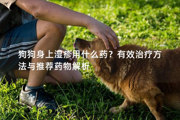 狗狗身上湿疹用什么药？有效治疗方法与推荐药物解析