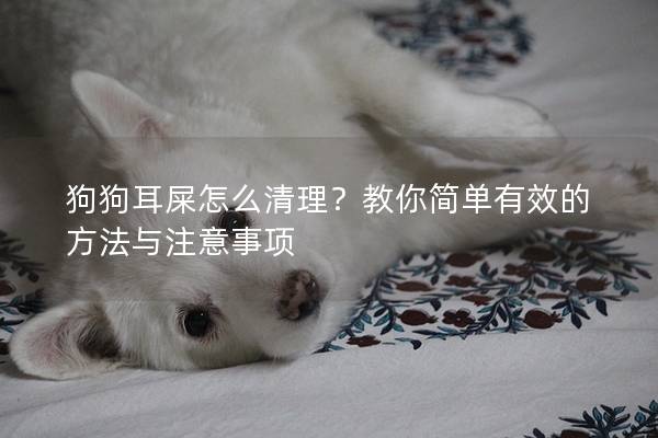 狗狗耳屎怎么清理？教你简单有效的方法与注意事项