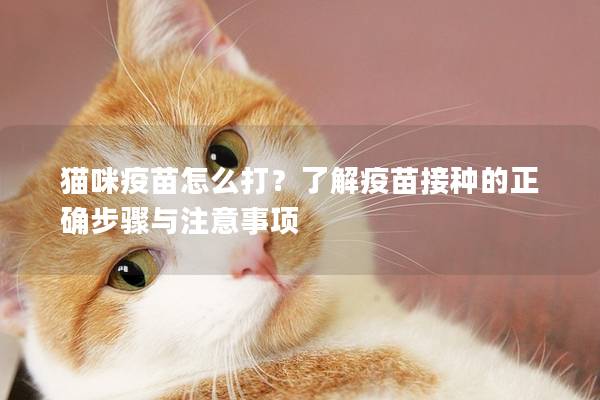 猫咪疫苗怎么打？了解疫苗接种的正确步骤与注意事项