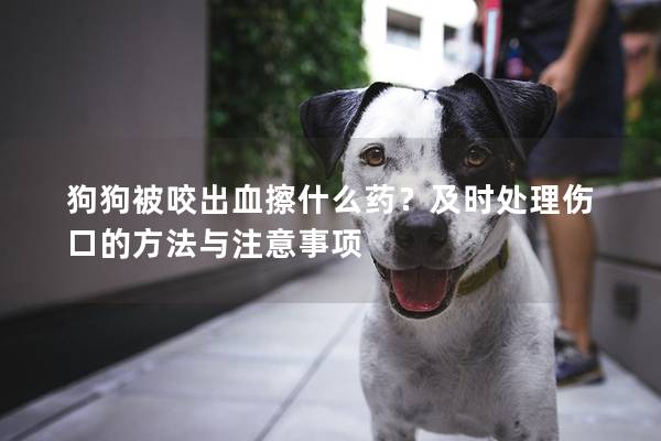 狗狗被咬出血擦什么药？及时处理伤口的方法与注意事项