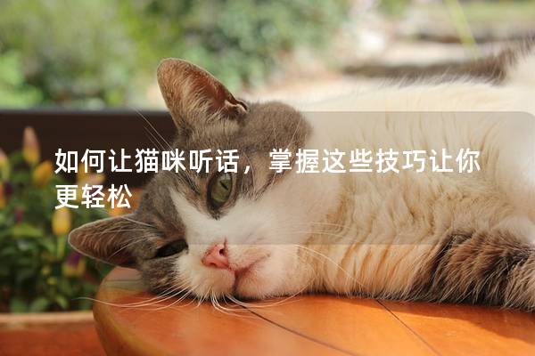 如何让猫咪听话，掌握这些技巧让你更轻松