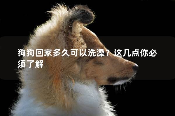 狗狗回家多久可以洗澡？这几点你必须了解