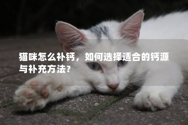 猫咪怎么补钙，如何选择适合的钙源与补充方法？