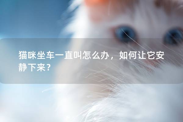 猫咪坐车一直叫怎么办，如何让它安静下来？