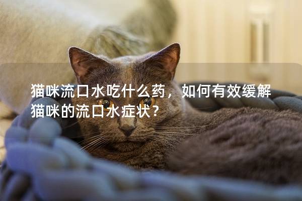 猫咪流口水吃什么药，如何有效缓解猫咪的流口水症状？