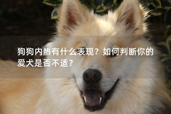 狗狗内热有什么表现？如何判断你的爱犬是否不适？