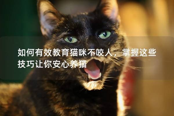 如何有效教育猫咪不咬人，掌握这些技巧让你安心养猫