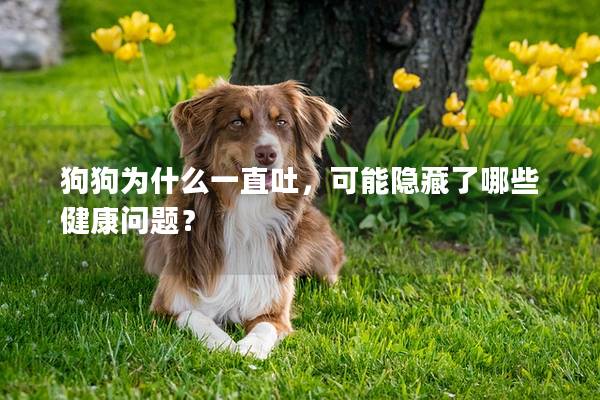 狗狗为什么一直吐，可能隐藏了哪些健康问题？