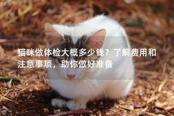 猫咪做体检大概多少钱？了解费用和注意事项，助你做好准备