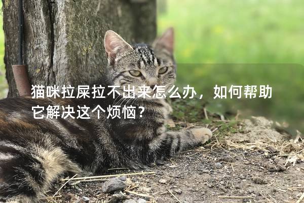 猫咪拉屎拉不出来怎么办，如何帮助它解决这个烦恼？