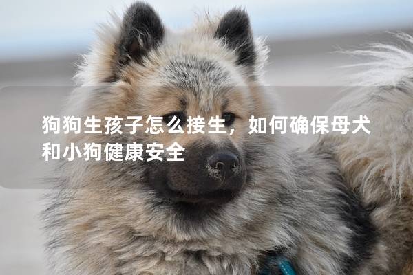 狗狗生孩子怎么接生，如何确保母犬和小狗健康安全