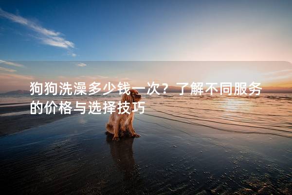 狗狗洗澡多少钱一次？了解不同服务的价格与选择技巧