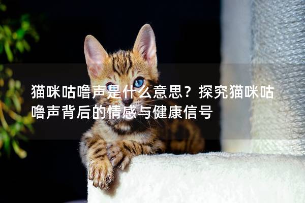 猫咪咕噜声是什么意思？探究猫咪咕噜声背后的情感与健康信号