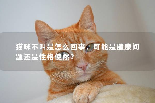 猫咪不叫是怎么回事，可能是健康问题还是性格使然？