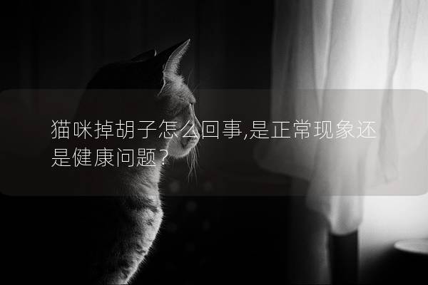 猫咪掉胡子怎么回事,是正常现象还是健康问题？