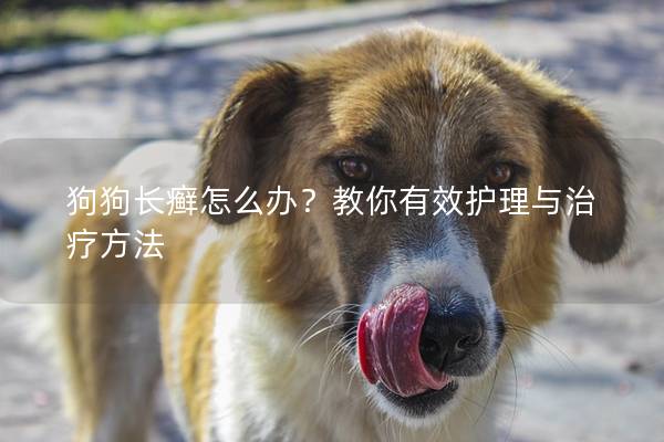 狗狗长癣怎么办？教你有效护理与治疗方法