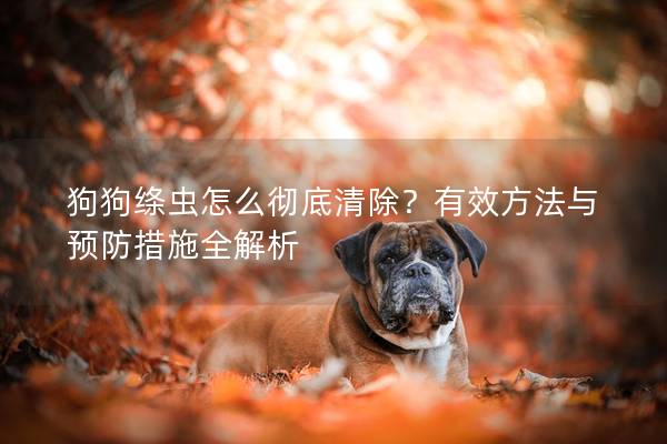 狗狗绦虫怎么彻底清除？有效方法与预防措施全解析