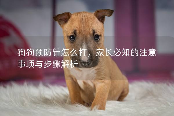 狗狗预防针怎么打，家长必知的注意事项与步骤解析