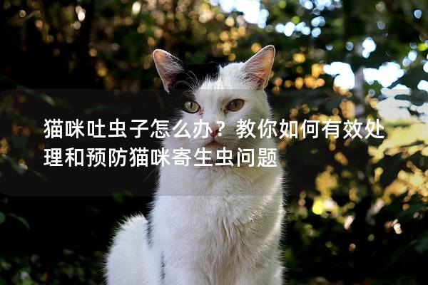 猫咪吐虫子怎么办？教你如何有效处理和预防猫咪寄生虫问题