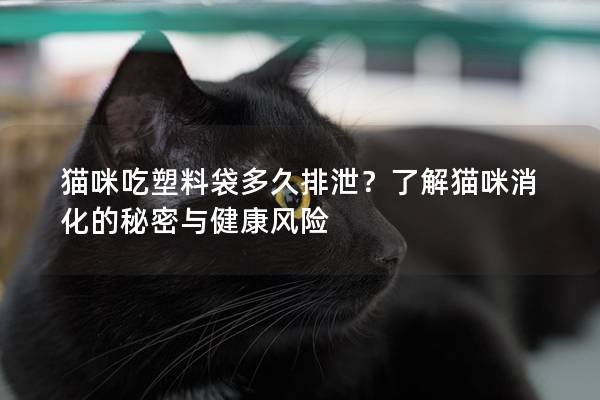 猫咪吃塑料袋多久排泄？了解猫咪消化的秘密与健康风险