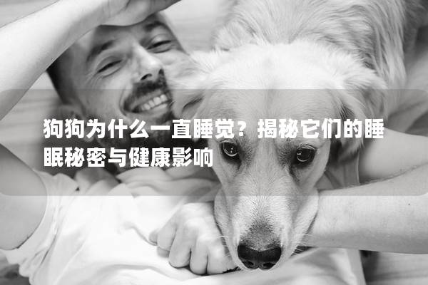 狗狗为什么一直睡觉？揭秘它们的睡眠秘密与健康影响