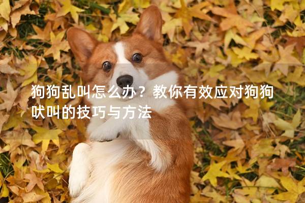 狗狗乱叫怎么办？教你有效应对狗狗吠叫的技巧与方法