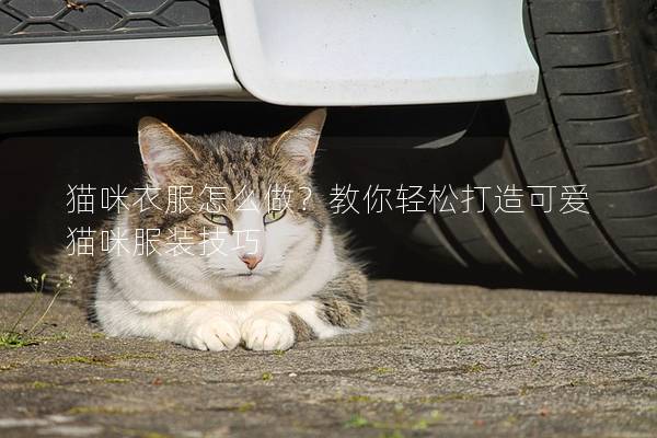 猫咪衣服怎么做？教你轻松打造可爱猫咪服装技巧