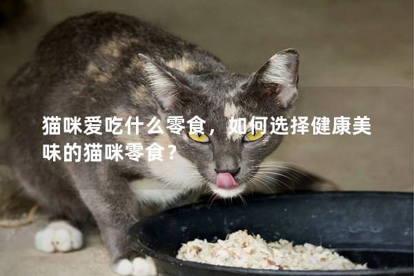 猫咪爱吃什么零食，如何选择健康美味的猫咪零食？