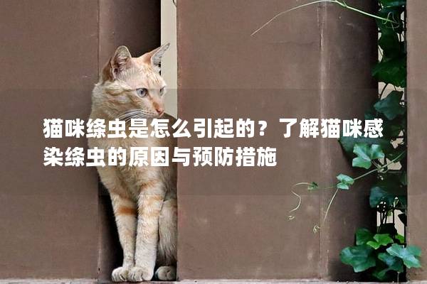 猫咪绦虫是怎么引起的？了解猫咪感染绦虫的原因与预防措施