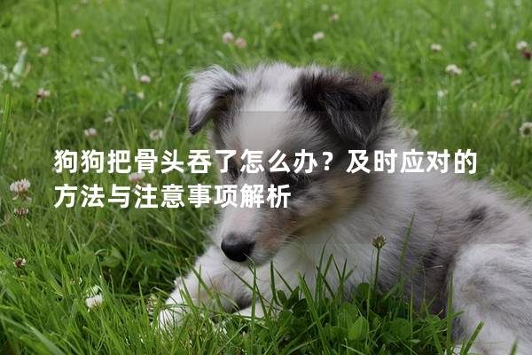 狗狗把骨头吞了怎么办？及时应对的方法与注意事项解析