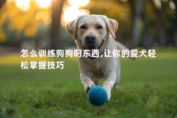 怎么训练狗狗叼东西,让你的爱犬轻松掌握技巧