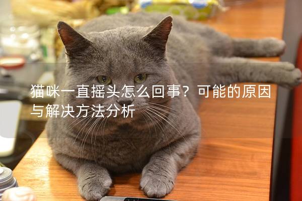 猫咪一直摇头怎么回事？可能的原因与解决方法分析