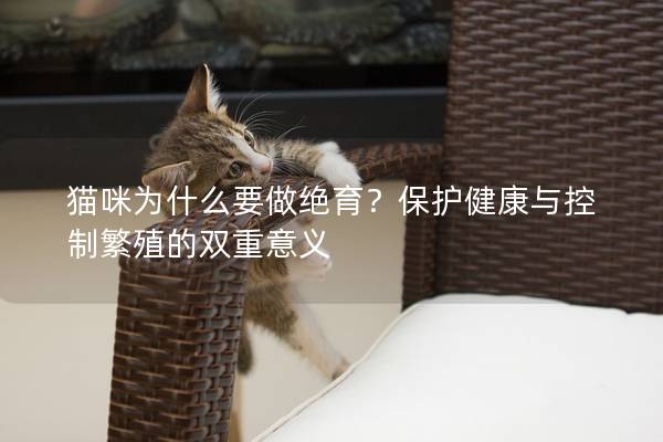 猫咪为什么要做绝育？保护健康与控制繁殖的双重意义