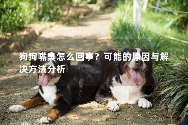 狗狗嘴臭怎么回事？可能的原因与解决方法分析