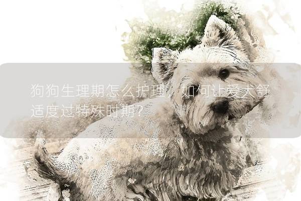 狗狗生理期怎么护理，如何让爱犬舒适度过特殊时期？