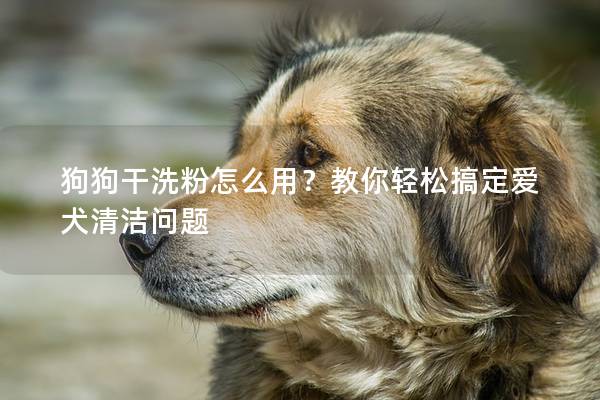 狗狗干洗粉怎么用？教你轻松搞定爱犬清洁问题