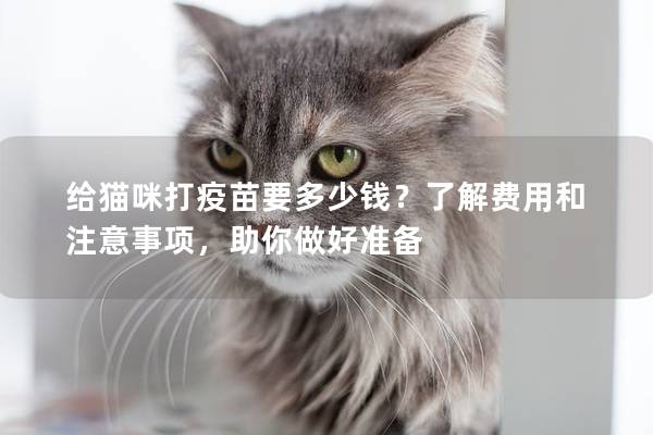 给猫咪打疫苗要多少钱？了解费用和注意事项，助你做好准备