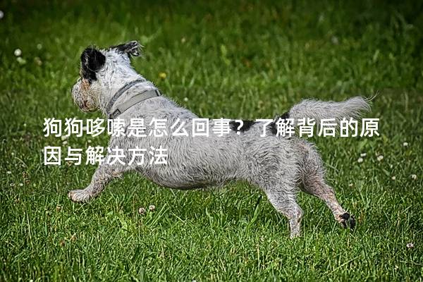 狗狗哆嗦是怎么回事？了解背后的原因与解决方法