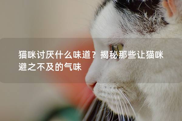 猫咪讨厌什么味道？揭秘那些让猫咪避之不及的气味