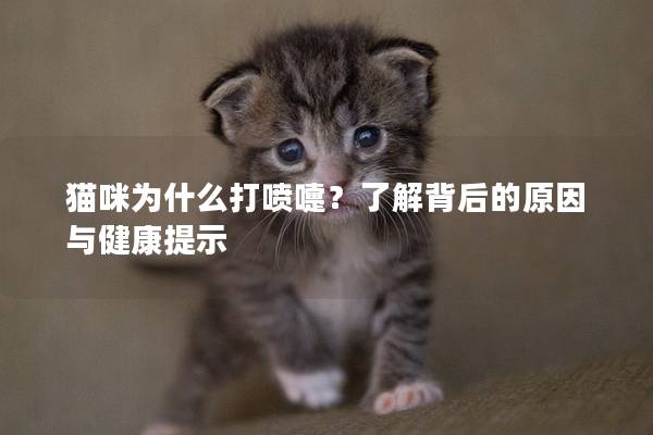 猫咪为什么打喷嚏？了解背后的原因与健康提示