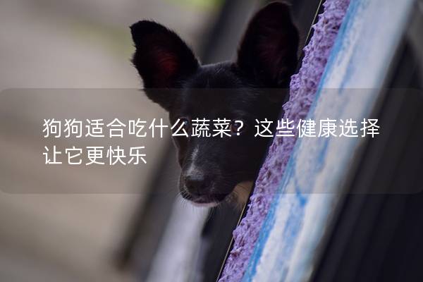 狗狗适合吃什么蔬菜？这些健康选择让它更快乐