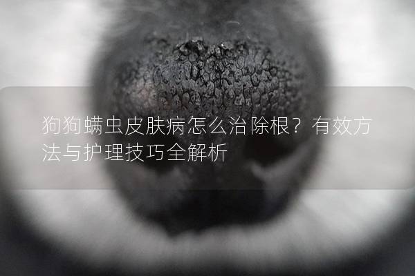 狗狗螨虫皮肤病怎么治除根？有效方法与护理技巧全解析